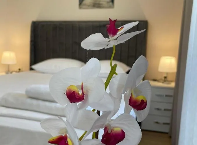 Izi Palace Deluxe Studiob1 Apartment Slantschew brjag